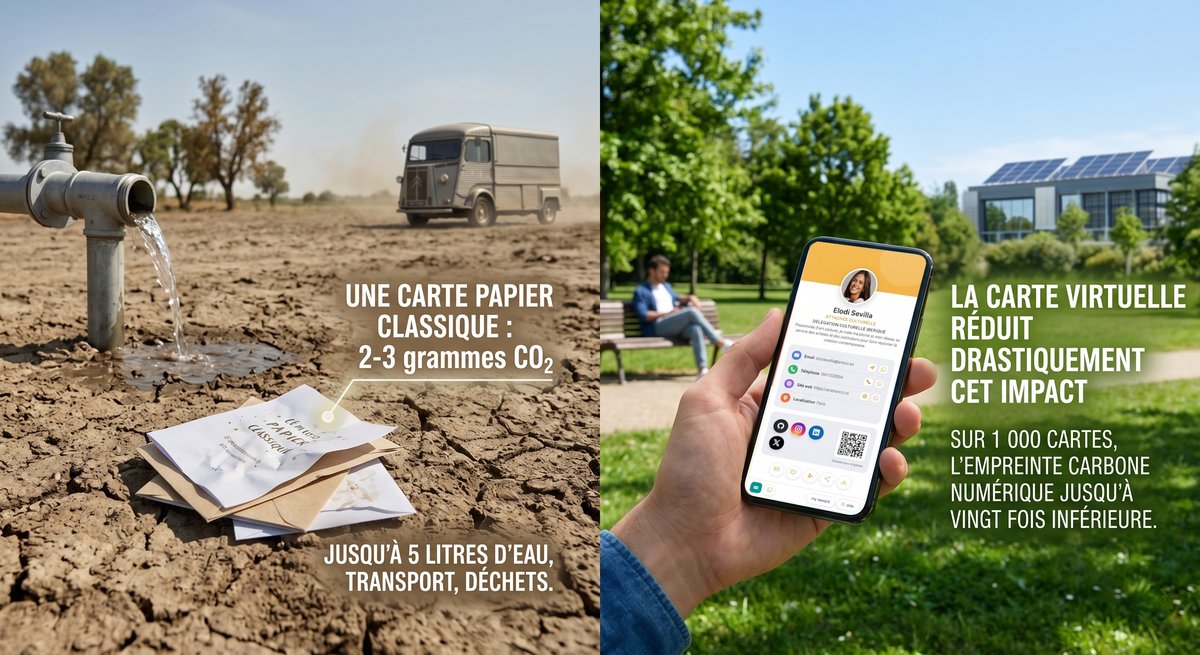 Carte papier vs carte virtuelle : l’impact carbone qu’on ne vous dit pas